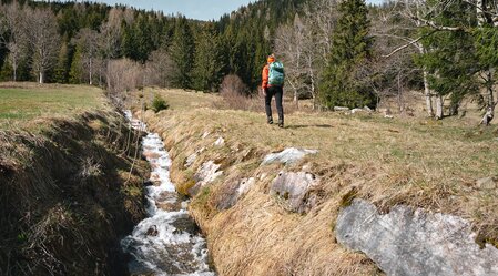 Wandern rund um Lassing | © TV Gesäuse | Christoph Lukas