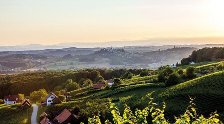Blick auf die Landschaft der Weinregion Straden | © Winzer Vulkanland I Ulrike Korntheuer