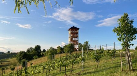 Aussichtswarte Unterlamm