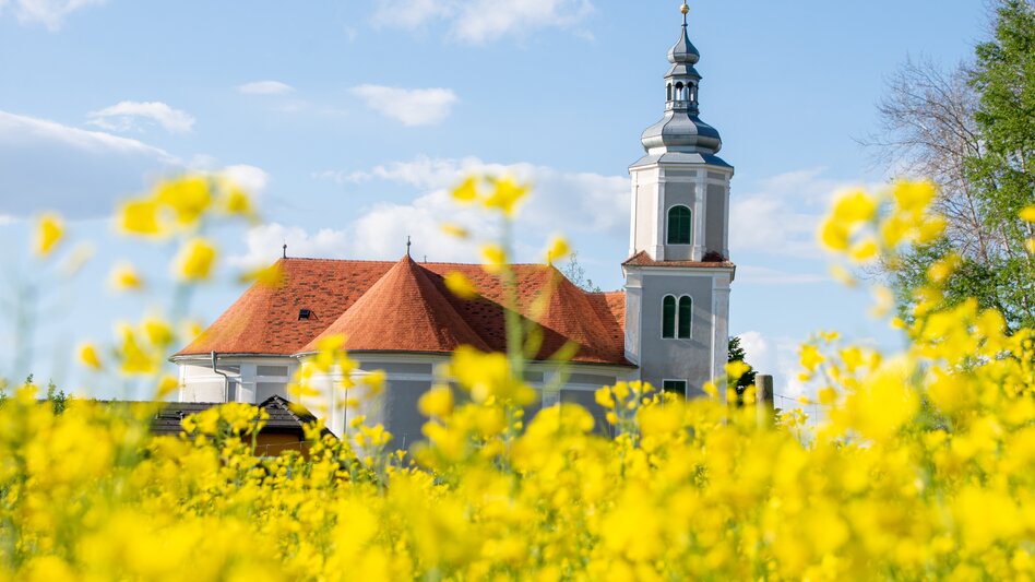 Pfarrkirche Bad Blumau hinter einem blühenden Rapsfeld