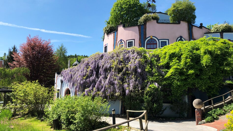 Begrünte Hundertwasser-Architektur mit blühendem Blauregen im Rogner Bad Blumau | © Rogner Bad Blumau, Hundertwasser Architekturprojekt