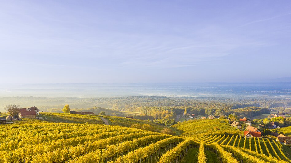 Herbstliche Weinberge in der Südoststeiermark mit weitläufigen Rebzeilen, sanften Hügeln und Panoramablick über die steirische Landschaft.