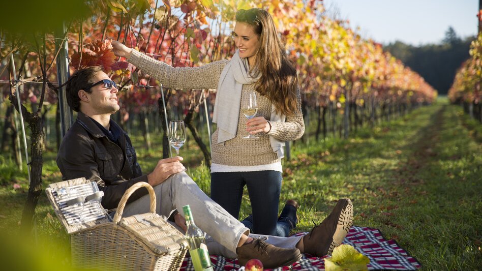 Paar picknickt im herbstlich gefärbten Weingarten  | © Tourismusverband Thermen- Vulkanland, Bernhard Bergmann