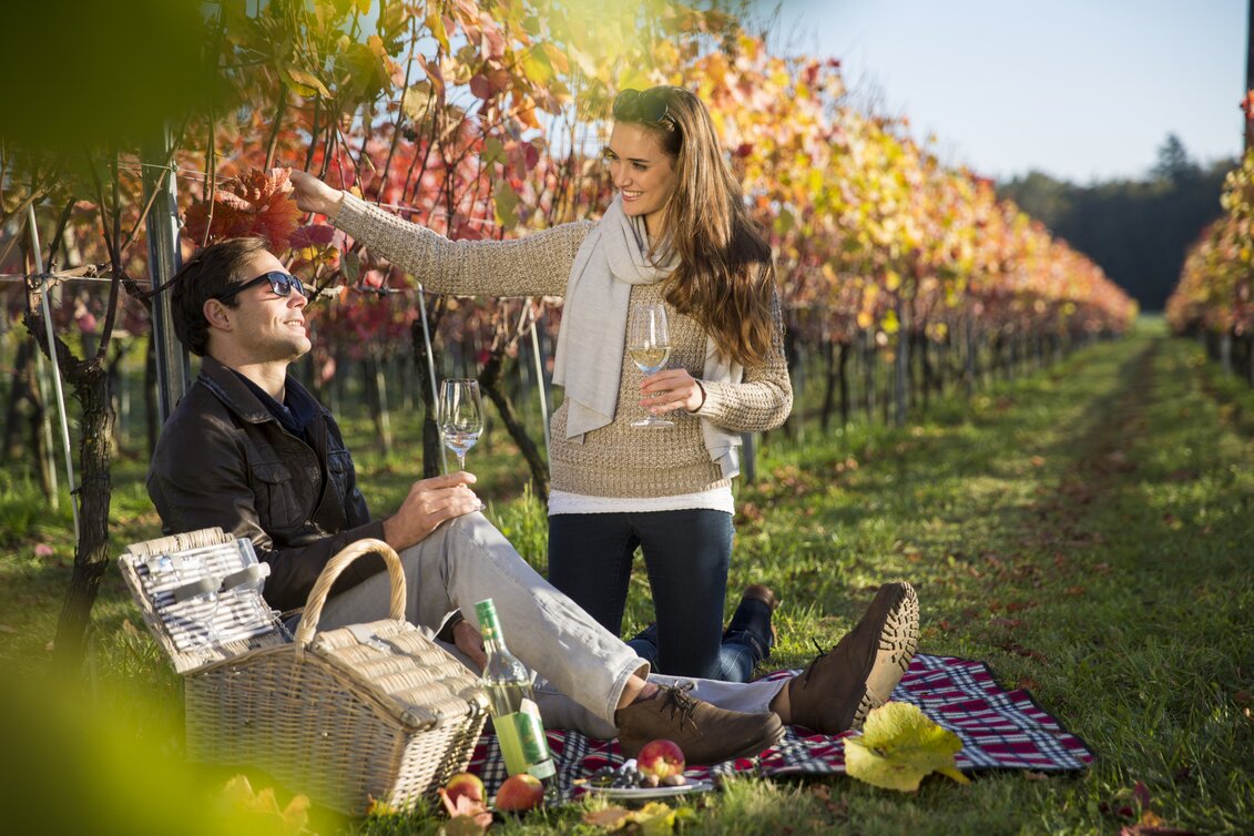 Paar picknickt im herbstlich gefärbten Weingarten  | © Tourismusverband Thermen- Vulkanland, Bernhard Bergmann
