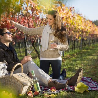 Picnic in the vineyard | Bernhard Bergmann | © Tourismusverband Thermen- Vulkanland, Bernhard Bergmann