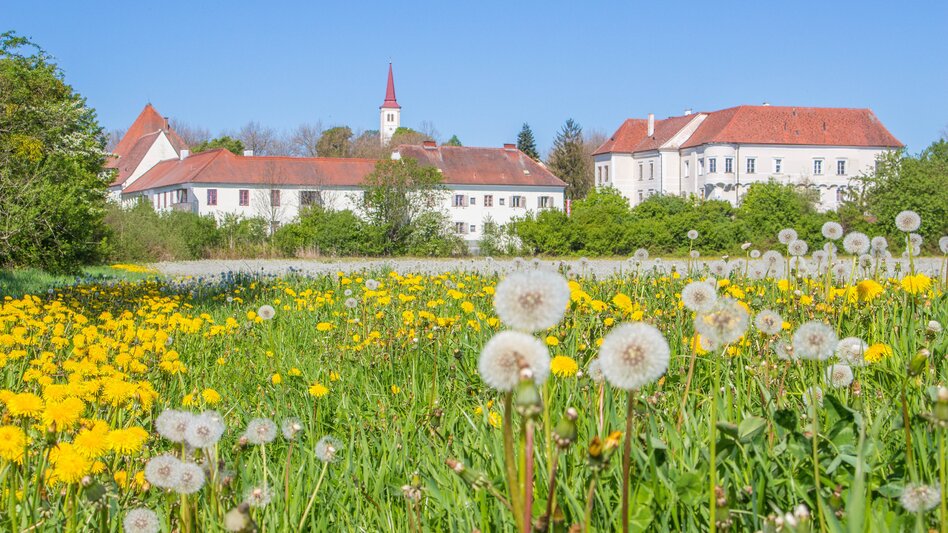 Blumenwiese mit Blick auf Wasserschloss und Pfarrkirche in Burgau | © Marktgemeinde Burgau, Sandra Brünner