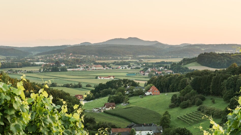 Sommerliche Hügellandschaft im Südosten der Steiermark