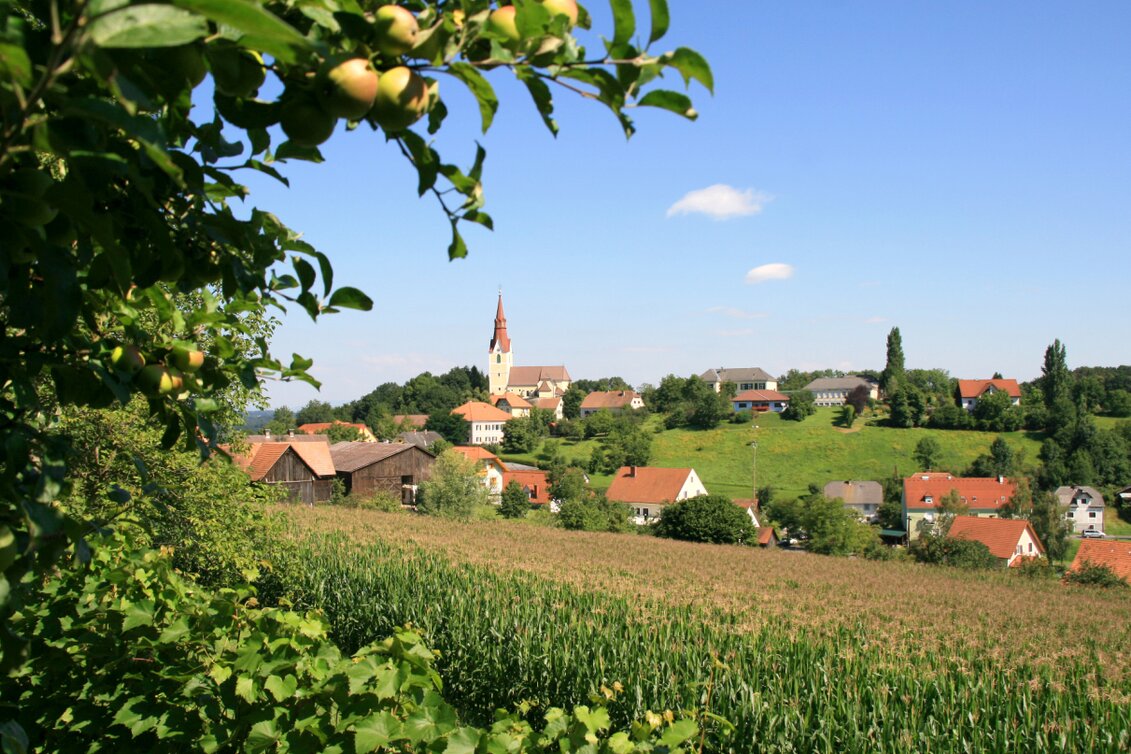 Blick aus der Ferne auf die Gemeinde Jagerberg | © Marktgemeinde Jagerberg