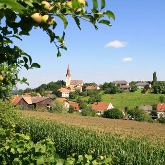Gemeinde Jagerberg | © Marktgemeinde Jagerberg
