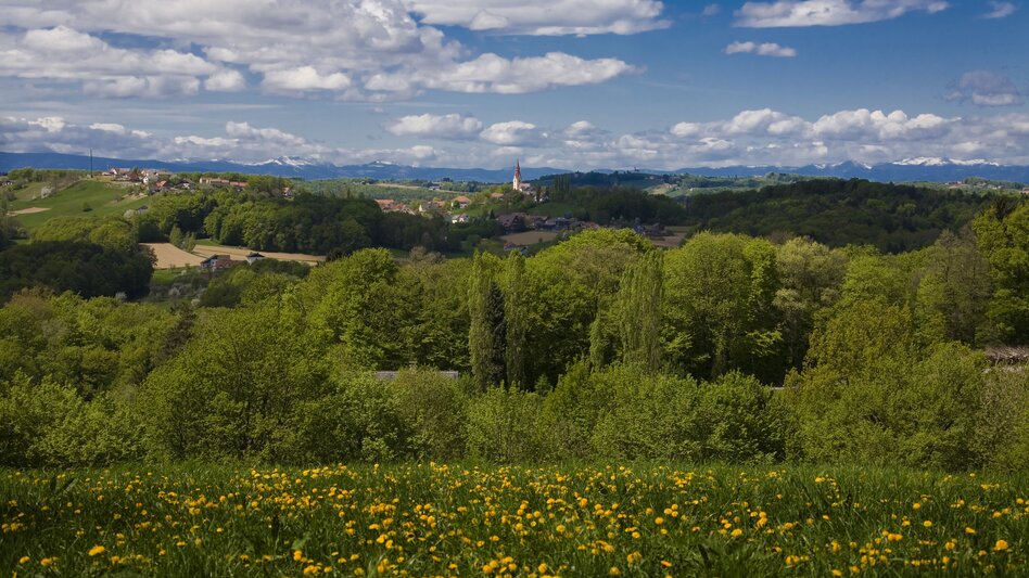 Ausblick über die hügelige Landschaft des Thermen- & Vulkanlandes  | © Marktgemeinde Jagerberg