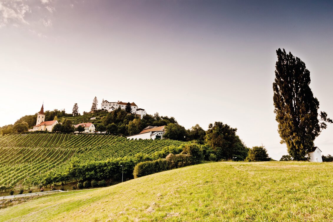 Schloss Kapfenstein im Thermen- & Vulkanland im Südosten der Steiermark