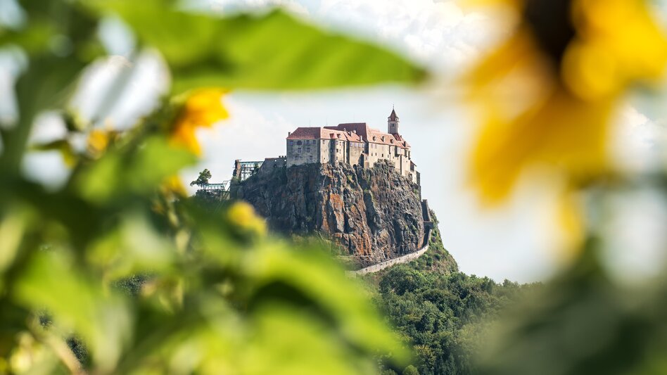 Die Riegersburg thront eindrucksvoll auf einem steilen Vulkanfelsen, eingerahmt von Sonnenblumen und üppigem Grün unter einem leicht bewölkten Himmel. | © Tourismusverband Thermen- & Vulkanland I derferder.at