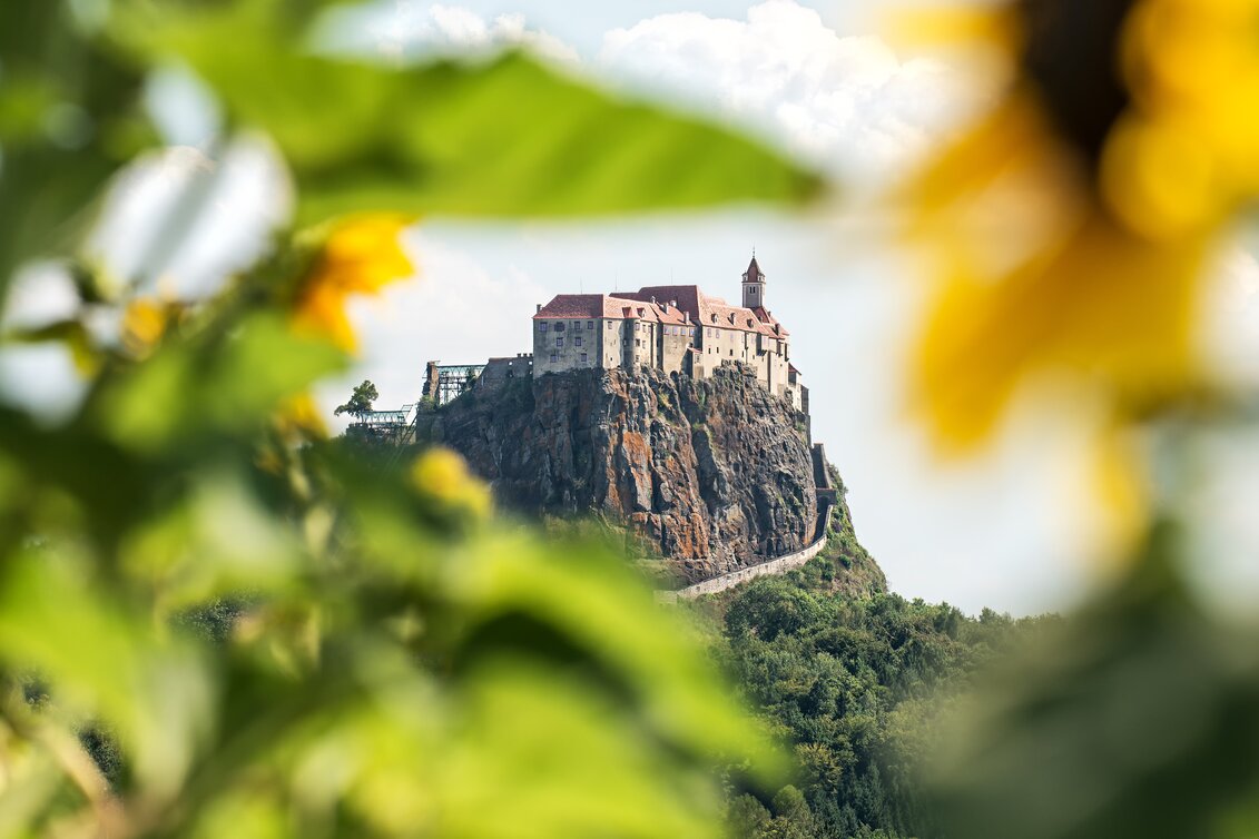 Die Riegersburg thront eindrucksvoll auf einem steilen Vulkanfelsen, eingerahmt von Sonnenblumen und üppigem Grün unter einem leicht bewölkten Himmel. | © Tourismusverband Thermen- & Vulkanland I derferder.at