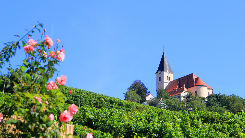 Blauer Himmel, bunte Blumen und die Sicht auf den Kirchturm und das Ortszentrum von St. Anna am Aigen im Thermen- & Vulkanland Steiermark