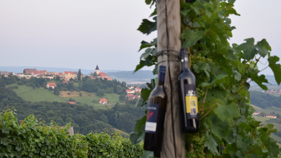 Weinflaschen hängen auf Weinstöcke im Weingarten mit Blick auf St. Anna am Aigen