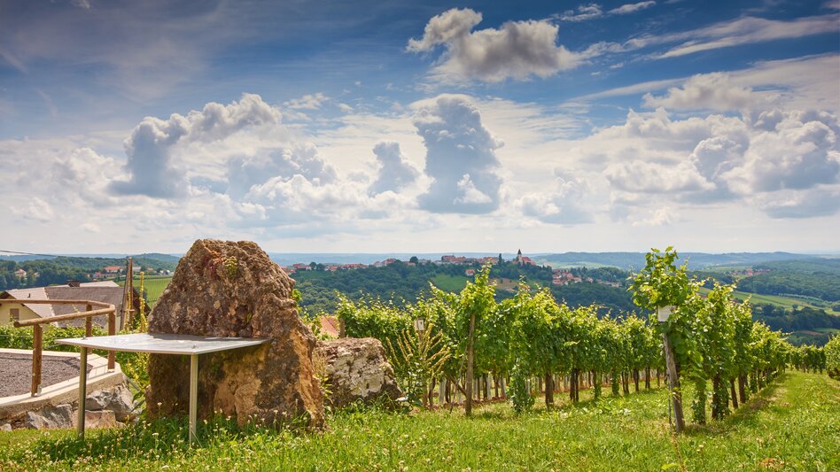 Aussicht vom Weinweg der Sinne zur Kirche und zum Ortszentrum von St. Anna am Aigen im Thermen- & Vulkanland Steiermark
