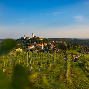 Blick auf den Himmelsberg in Straden | © Thermen- & Vulkanland | Werner Krug