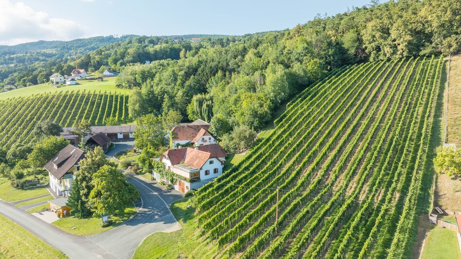 Buschenschank Gruber und Weingärten in Hartl in der Oststeiermark