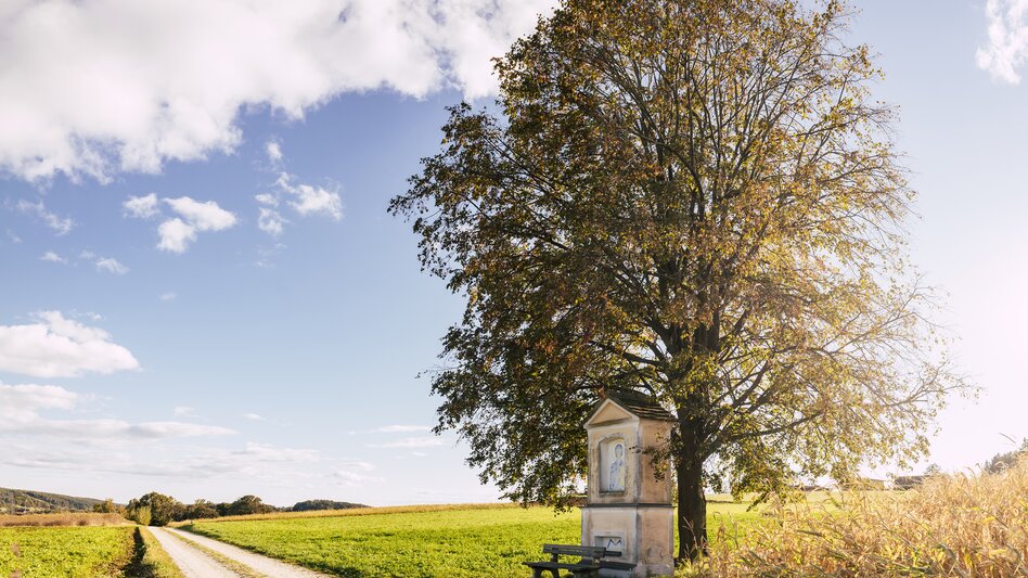 Herrenbankerl in St. Johann in der Haide in der Oststeiermark