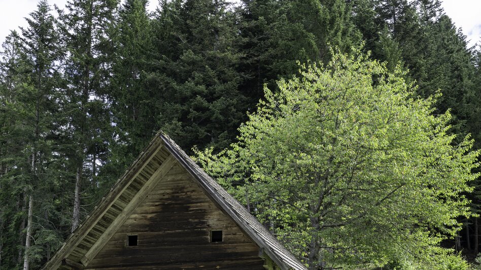 Mühle in Miesenbach