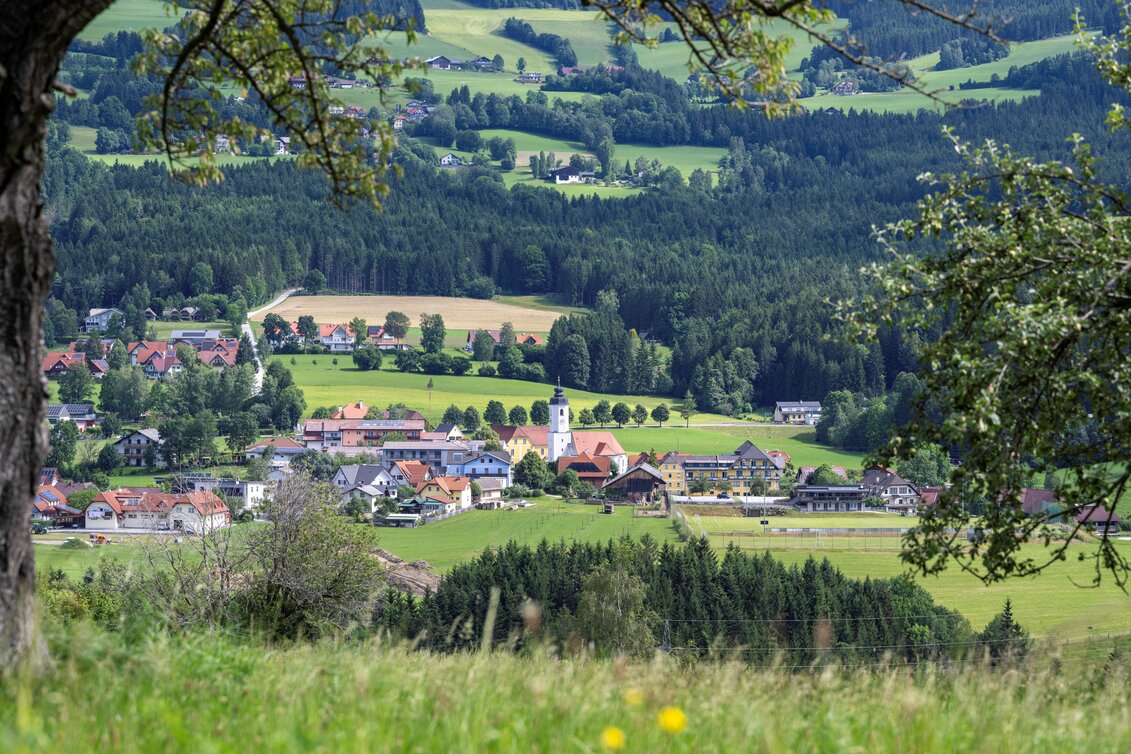 Miesenbach im Joglland