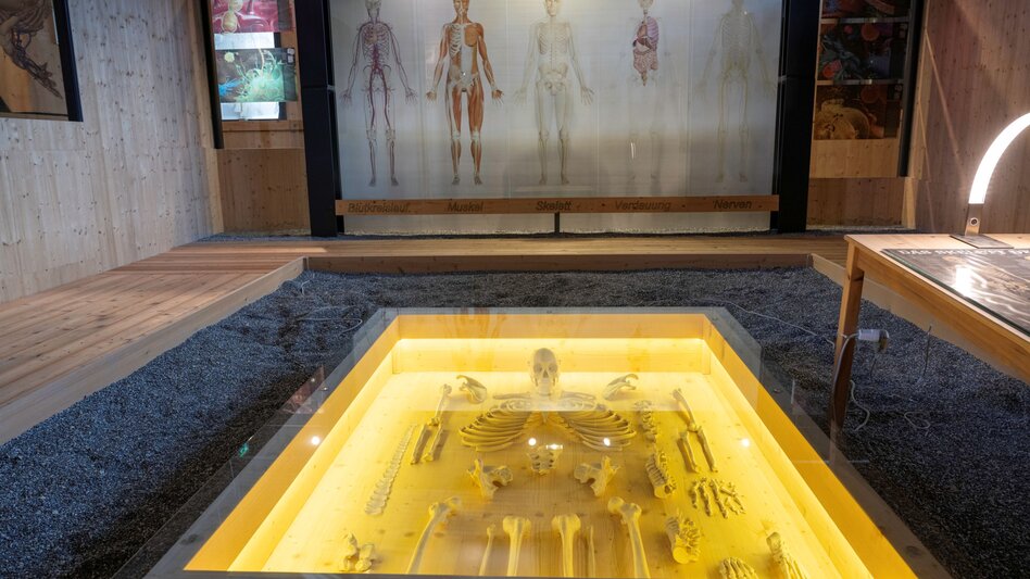 Ausstellung Labyrinth Mensch in Rettenegg im Joglland
