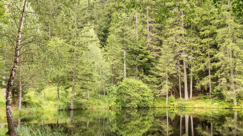 Teich Rettenegg im Joglland