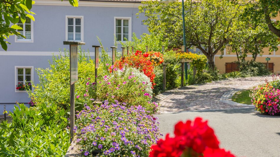 Blumen Straße im Naturpark Pöllauer Tal
