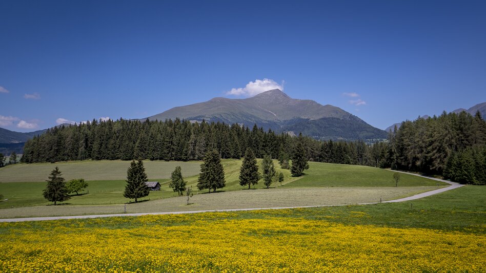 Blick auf den Greim