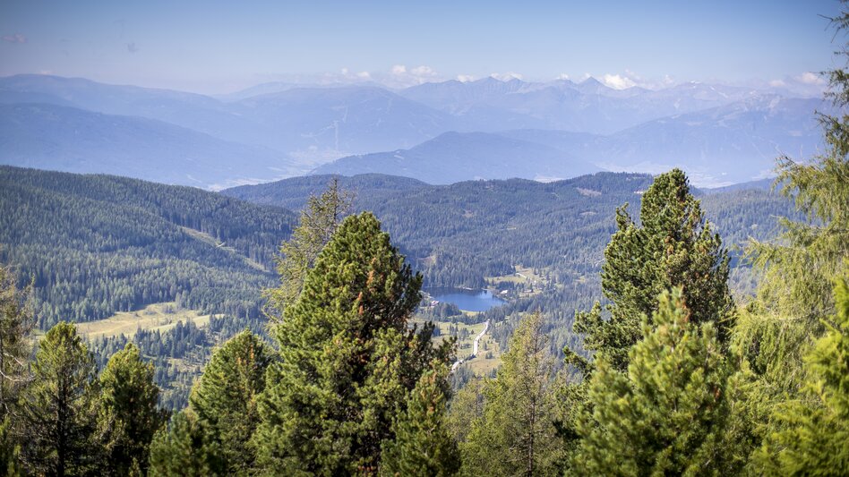 Übersichtsfoto mit Wald und See