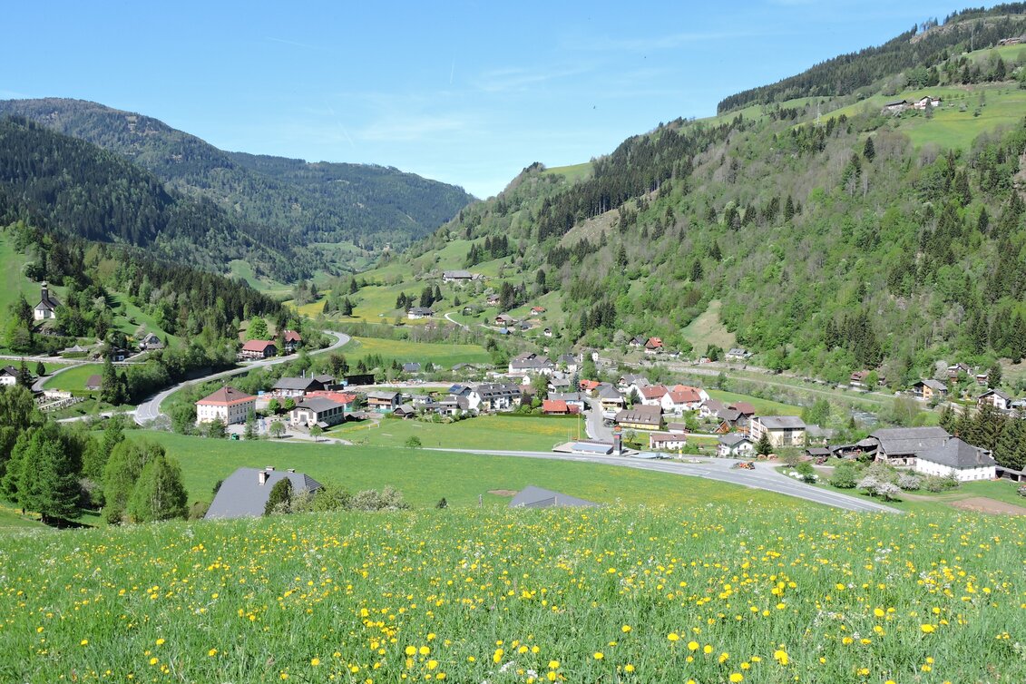 Übersicht Ort mit Häusern