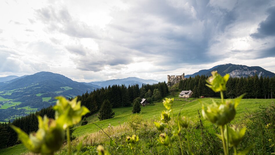 Blick auf die Burgruine Steinschloss in Mariahof