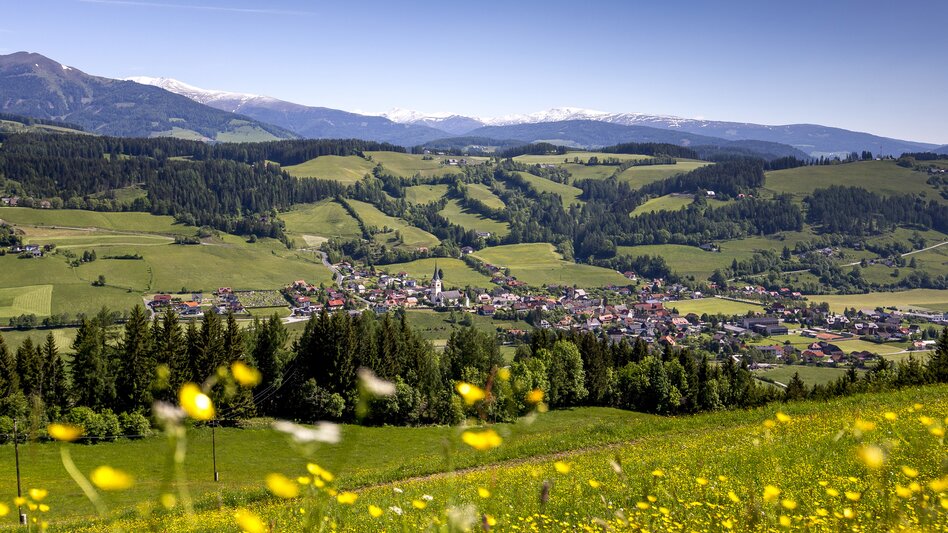 St. Peter am Kammersberg mit Blumenwiese im Vordergrund