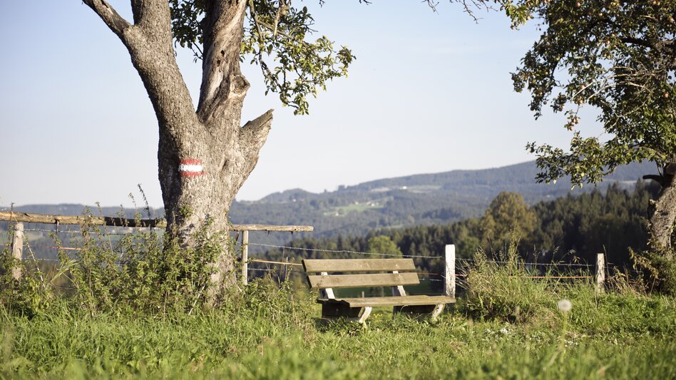Bankerl in Edelschrott