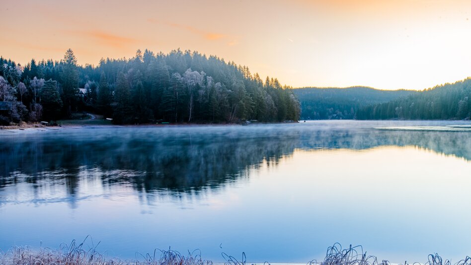 Packer Stausee im Winter