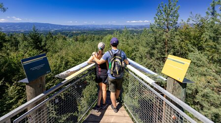 West viewing platform on the Buchkogel | © Graz Region | Harry Schiffer