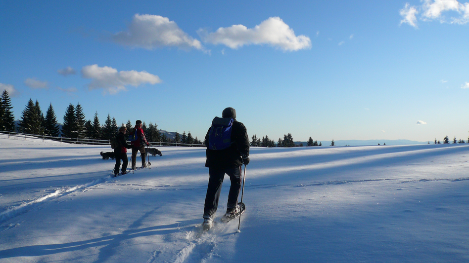 Schneeschuhwandern bei Sonnenschein am Hochtrötsch
