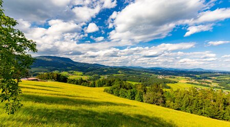 Hiking in Weinitzen | © Graz Region | Harry Schiffer