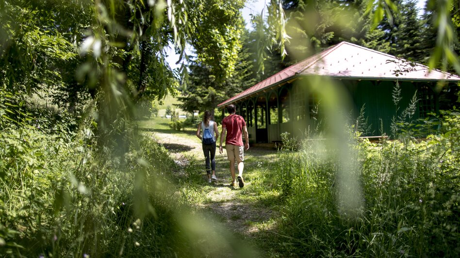 Arboretum und Teehaus in Laßnitzhöhe