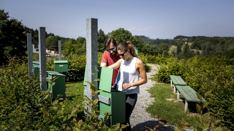 Time together on the sebastian RELOADED® adventure trail in Laßnitzhöhe