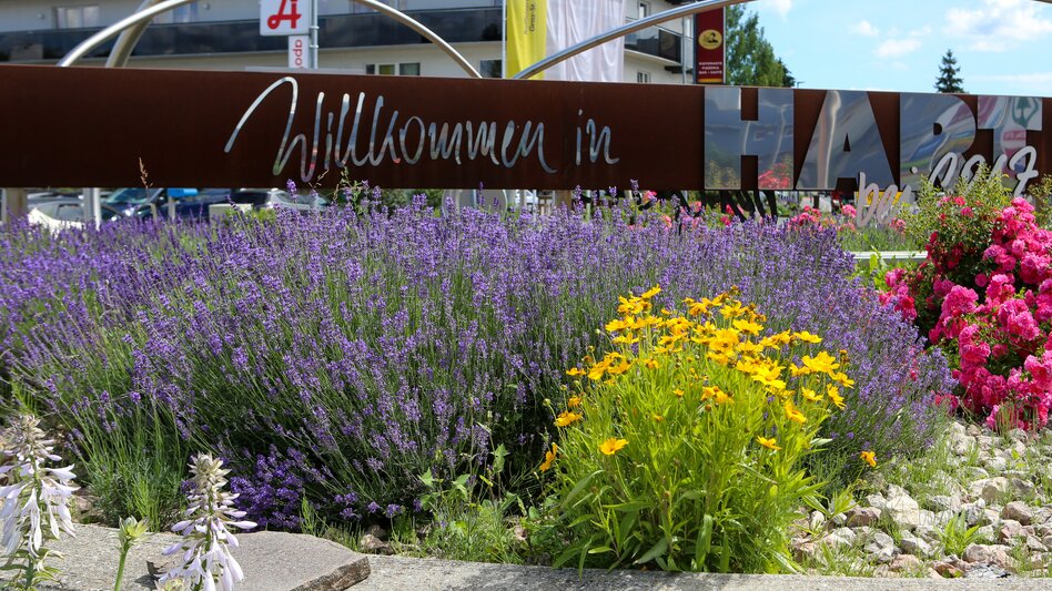 Kreisverkehr in Hart bei Graz mit Blumenschmuck