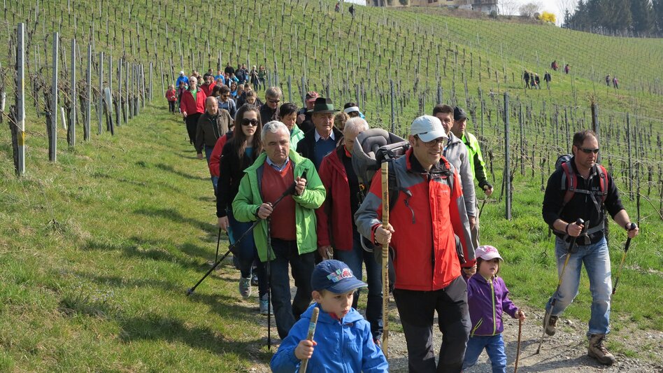 Leutschach an der Weinstraße - Impression #2.5
