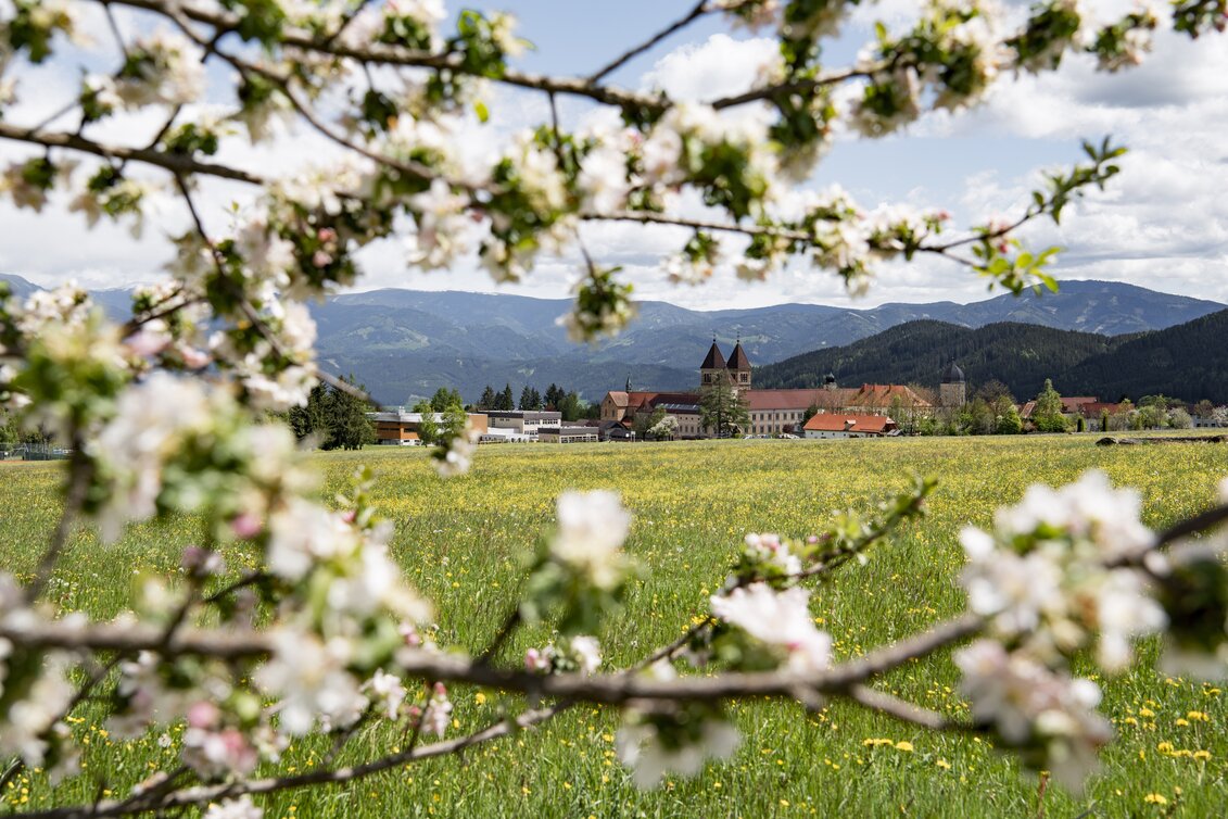 Frühling Abtei Seckau