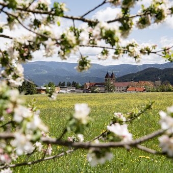 Frühling Abtei Seckau | © Anita Fössl  | TV Murtal