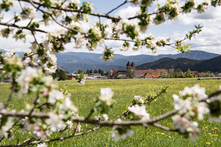 Frühling Abtei Seckau | © Anita Fössl  | TV Murtal