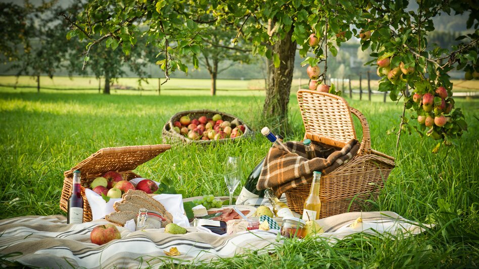Eine Picknickkorb gefüllt mit vielen Köstlichkeiten aus der Region steht auf einer Wiese unter einem Apfelbaum