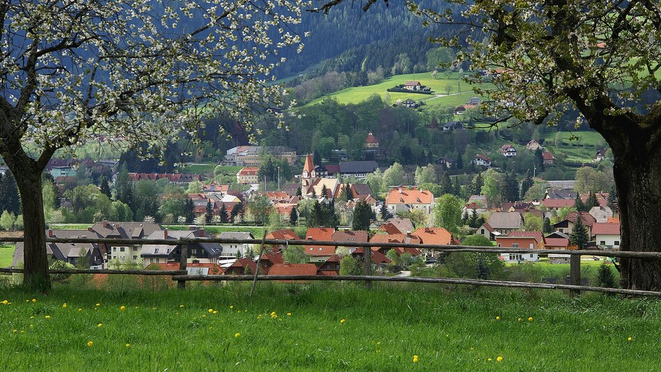 Eine Stadt im grünen.