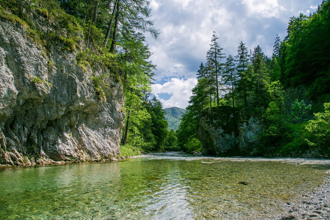 Eine Wasserlandschaft, mit Felsen und Sträuchern