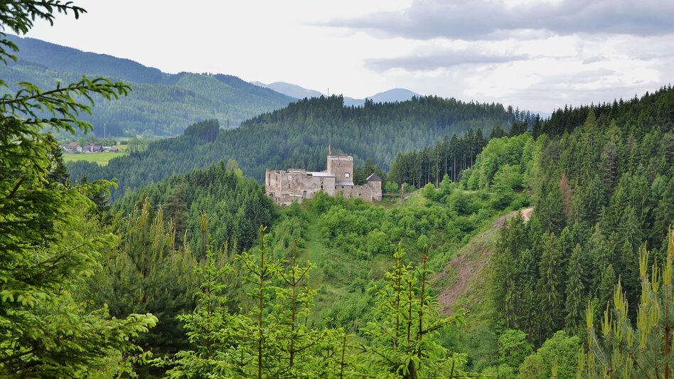 Eine verfallene Burgruine drohnt auf einem Berg umgeben von Wald