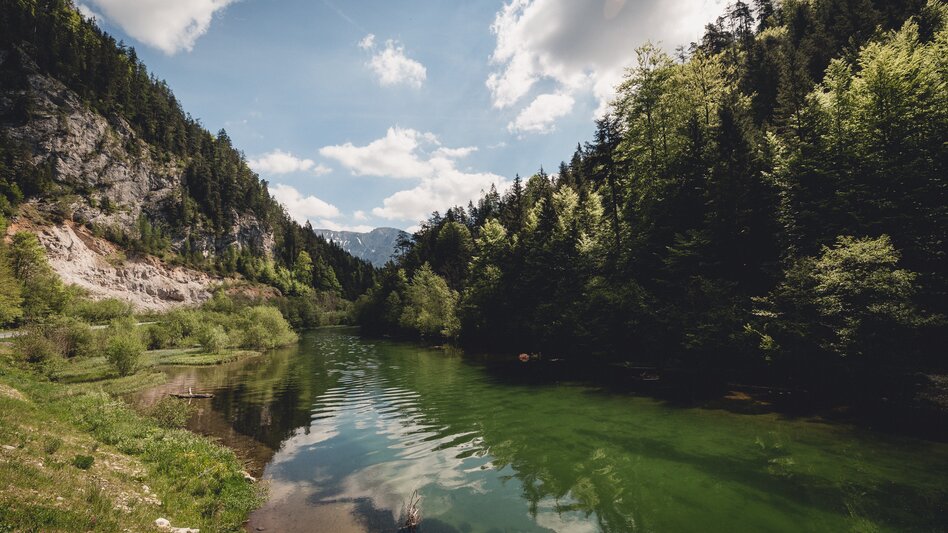 Ein Fluss umrahmt von einer Bergkulisse und Bäumen